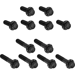 Bolt Kit - Rocker Box - 12-Point - Titanium - Black 300-993