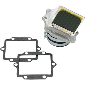 Rad Valve Reed Cage Assembly - Kawasaki RAD11G