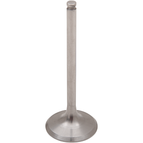 Exhaust Valve DW-KX450F-EV06
