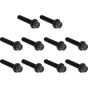Bolt Kit - Cam Cover/Point Cover - Titanium - 12-Point - Black 300-987