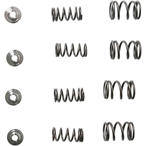 Valve Spring Kit 30-3111