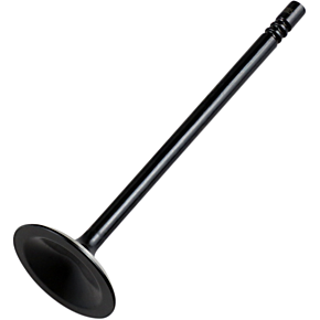Intake Valve HC00032