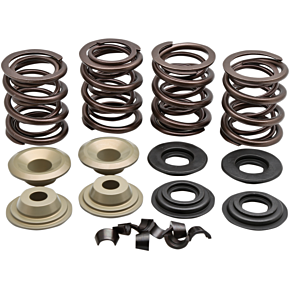 Valve Spring Kit 20-21150