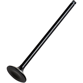 Exhaust Valve HC00039
