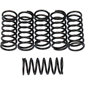 Clutch Springs 501-40-06095