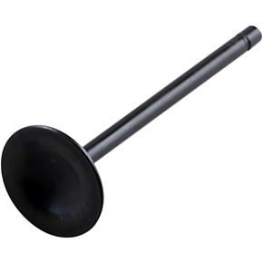 Intake Valve 30-30120