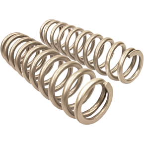 Front Shock Springs - Silver 79-13774