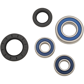 ALL BALLS Wheel Bearing - Kit - Rear - DL650