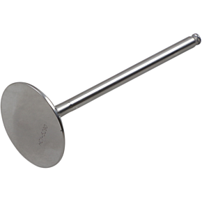 Intake Valve DW-KX250FIV09ND