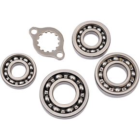 Transmission Bearing Kit TBK0012