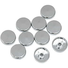 Cover Bolt 5/16 Torx 10-Pack 2402-0127