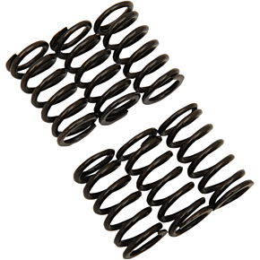 Clutch Spring Kit 501-66-06010