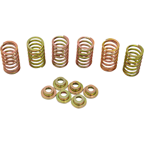 Clutch Spring Kit 505-44-06090