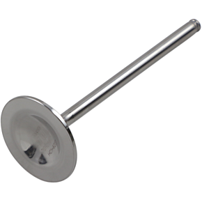 Exhaust Valve DW-TRX450R1EV11