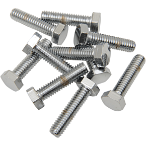 5/16"-18 X 1" Chrome Hex Head DS-190613