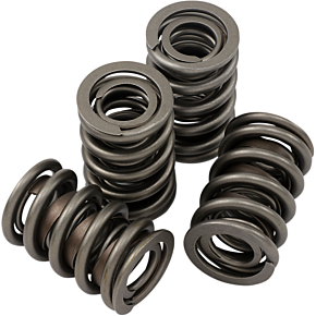 Jims Valve Spring Kit - Evolution - Big Twin 1356