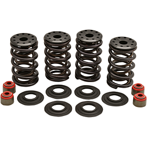 Kibblewhite Spring Kit - Twin Cam/XL 20-20364