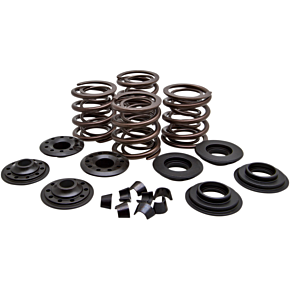 Valve Spring Kit 20-20450