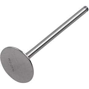 Del West Intake Valve DWCRF250RIV10ND
