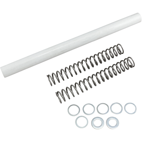 Race Tech Fork Springs - 1.00 kg/mm