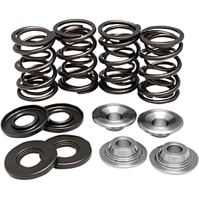 Valve Spring Kit 90-9034