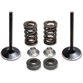 Valve Spring Kit 80-81100