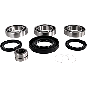 Epi Differential Bearing/Seal Kit - Rear WE290128
