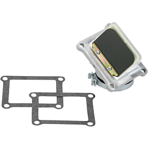 Rad Valve Reed Cage Assembly - Yamaha RAD33E