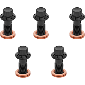 Banjo Bolt 5-Pack - 3/8"-24 - Black 300-855