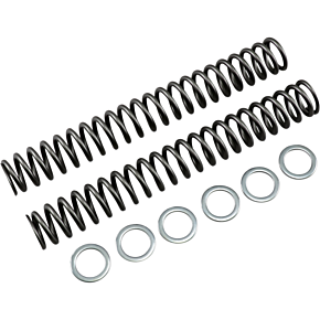 Race Tech Fork Springs - 1.00 kg/mm