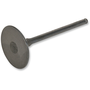 Prox Intake Valve 28.3402-2