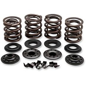 Valve Spring Kit 20-20850