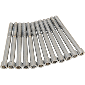 Crankcase Smooth Bolt Kit - Chrome - M8 2401-0973