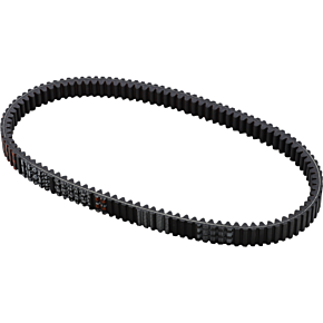 Drive Belt 19R4022
