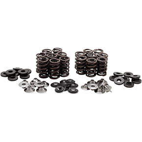 Valve Spring Kit 40-40850