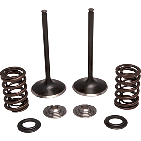 Kibblewhite Valve Kit - Intake 30-34000