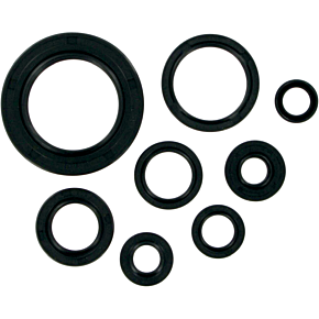 Moose Racing Motor Seals MSE CR250/500