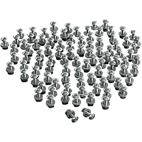 License Plate Bolts - 100PK CHB100