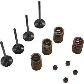 Valve Kit SVKB4335