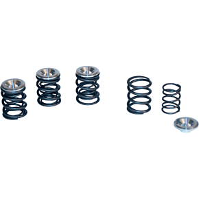 Valve Spring Kit - Big Twin 90-2053
