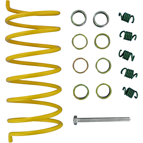 Epi Clutch Kit WE495025