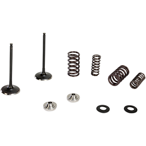 Intake Valve Kit 60-60470