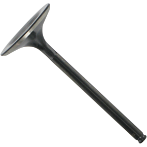 Exhaust Valve - TRX450R - 31mm 30-30954