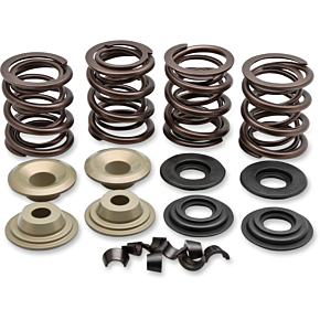 Valve Spring Kit 20-21100