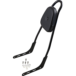 One-Piece Sissy Bar - Gloss Black - Skull - With Pad 156T18-GB-SK-WP