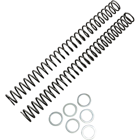 Race Tech Fork Springs - 0.42 kg/mm