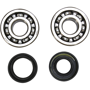 Crank Bearing and Seal Kit 23.CBS21093