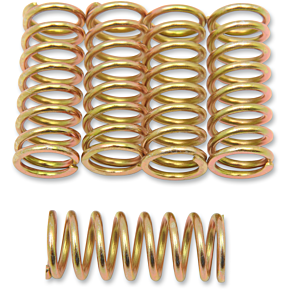 Clutch Spring Set 501-50-05053