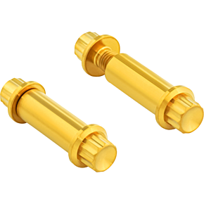 Bolt Kit - Footpeg - 12-Point - Titanium - Gold 300-802