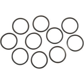 Neoprene O-Rings - 1 x 3/32" 253019